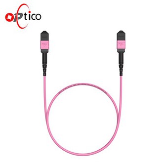 24F SM MPO Trunk Patchcord Patch Cable